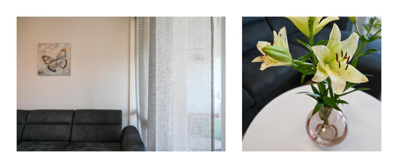 Apartman Armando Задар Екстериор снимка